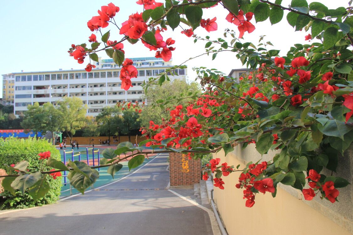 学生在农场采摘体验