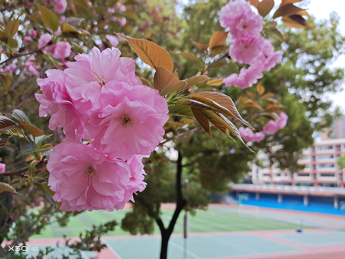 农场劳动实践场景